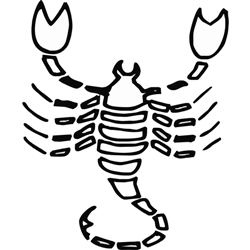 Zdjęcie Grawer Specjalny-Znak Zodiaku 8-1-5